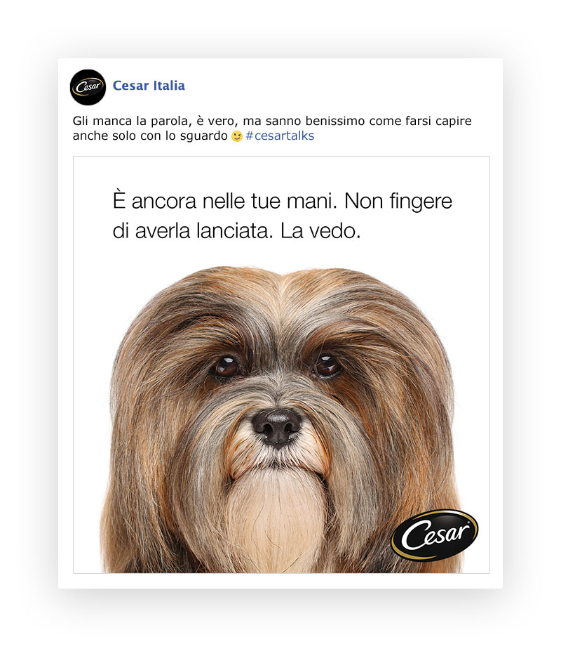 Campagna Facebook
